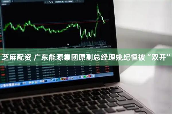 芝麻配资 广东能源集团原副总经理姚纪恒被“双开”