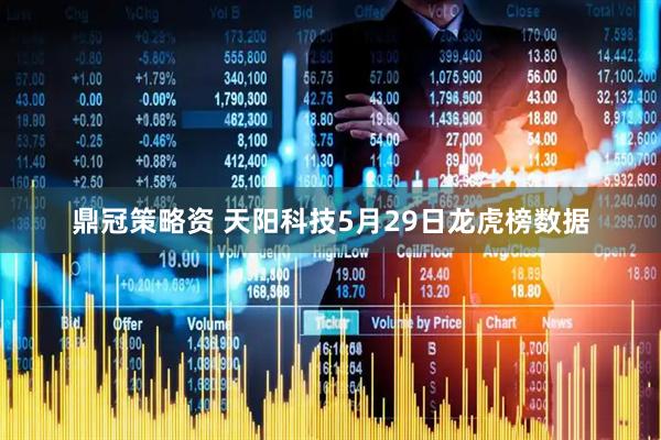 鼎冠策略资 天阳科技5月29日龙虎榜数据