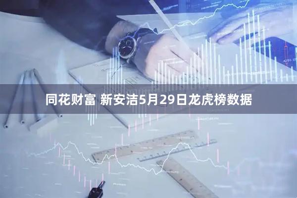 同花财富 新安洁5月29日龙虎榜数据