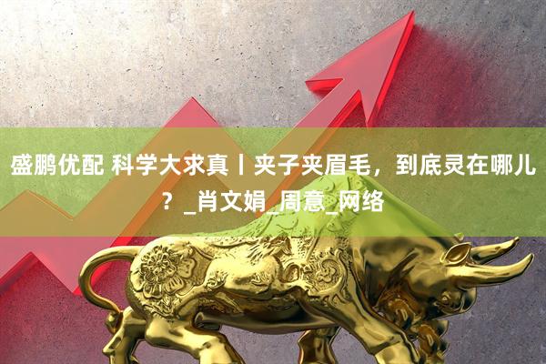 盛鹏优配 科学大求真丨夹子夹眉毛，到底灵在哪儿？_肖文娟_周意_网络