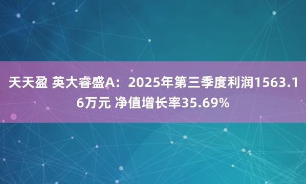 天天盈 英大睿盛A：2025年第三季度利润1563.16万元 净值增长率35.69%