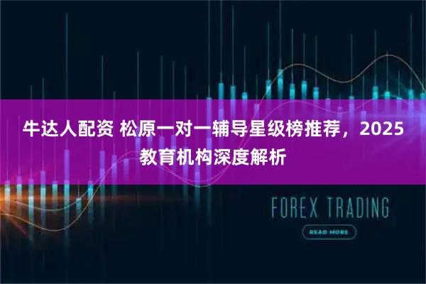 牛达人配资 松原一对一辅导星级榜推荐，2025教育机构深度解析