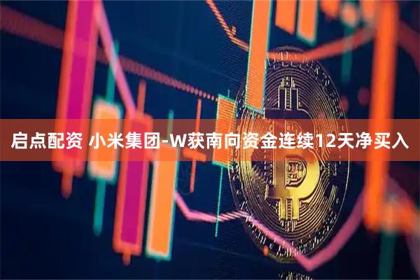 启点配资 小米集团-W获南向资金连续12天净买入