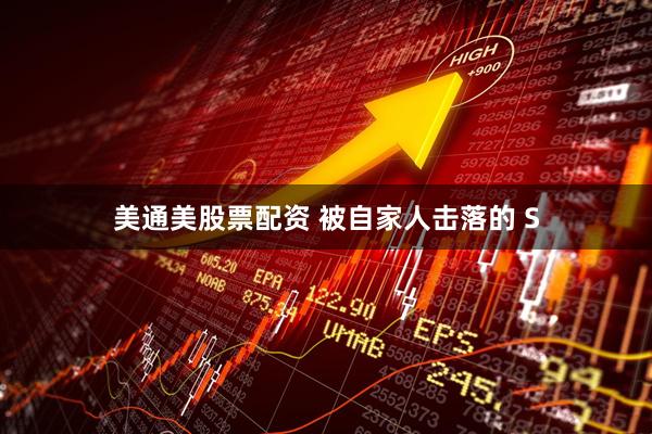美通美股票配资 被自家人击落的 S